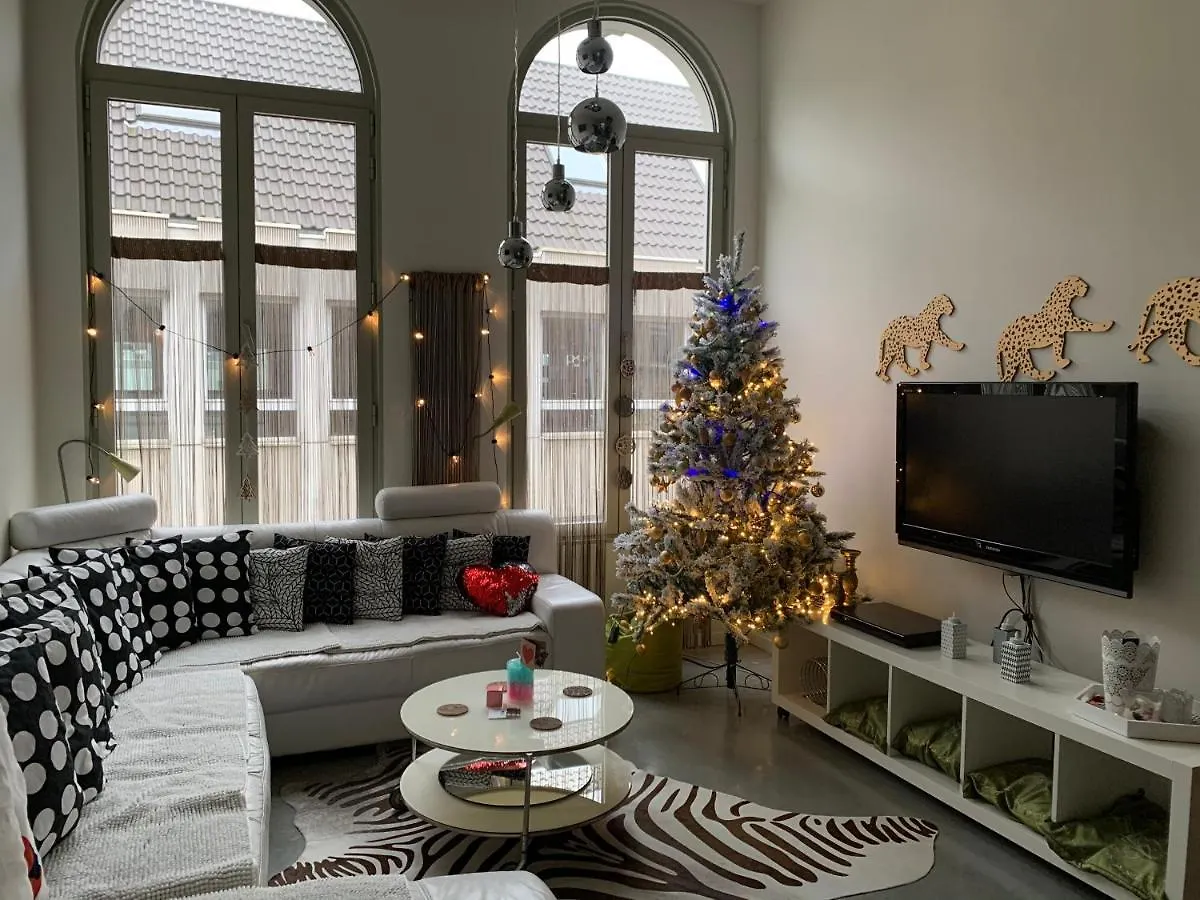 Wellness Loft With Sauna, Jacuzzi, Roof Terrace & Amazing View Apartment Antwerp 0*,