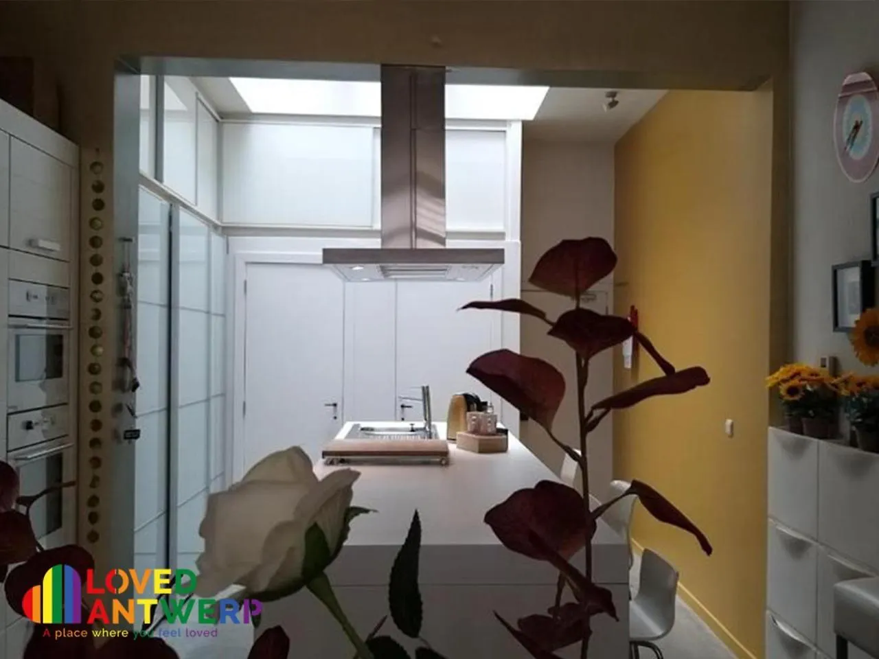 Wellness Loft With Sauna, Jacuzzi, Roof Terrace & Amazing View Apartment Antwerp